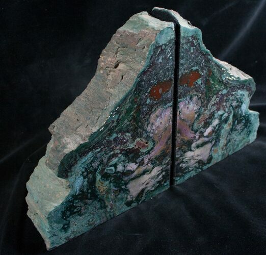 Brilliant Green Hampton Butte Petrified Wood Bookends #7621